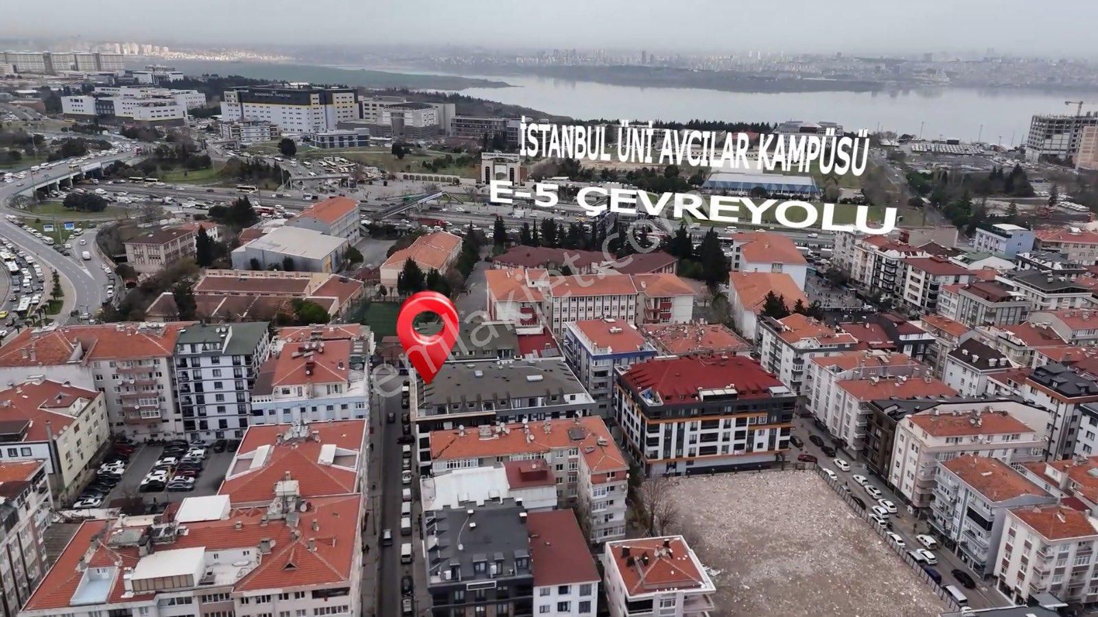 Avcılar’da Tabela Değeri Yüksek-işlek Cadde Üzerinde Pet Shop - Görsel 32