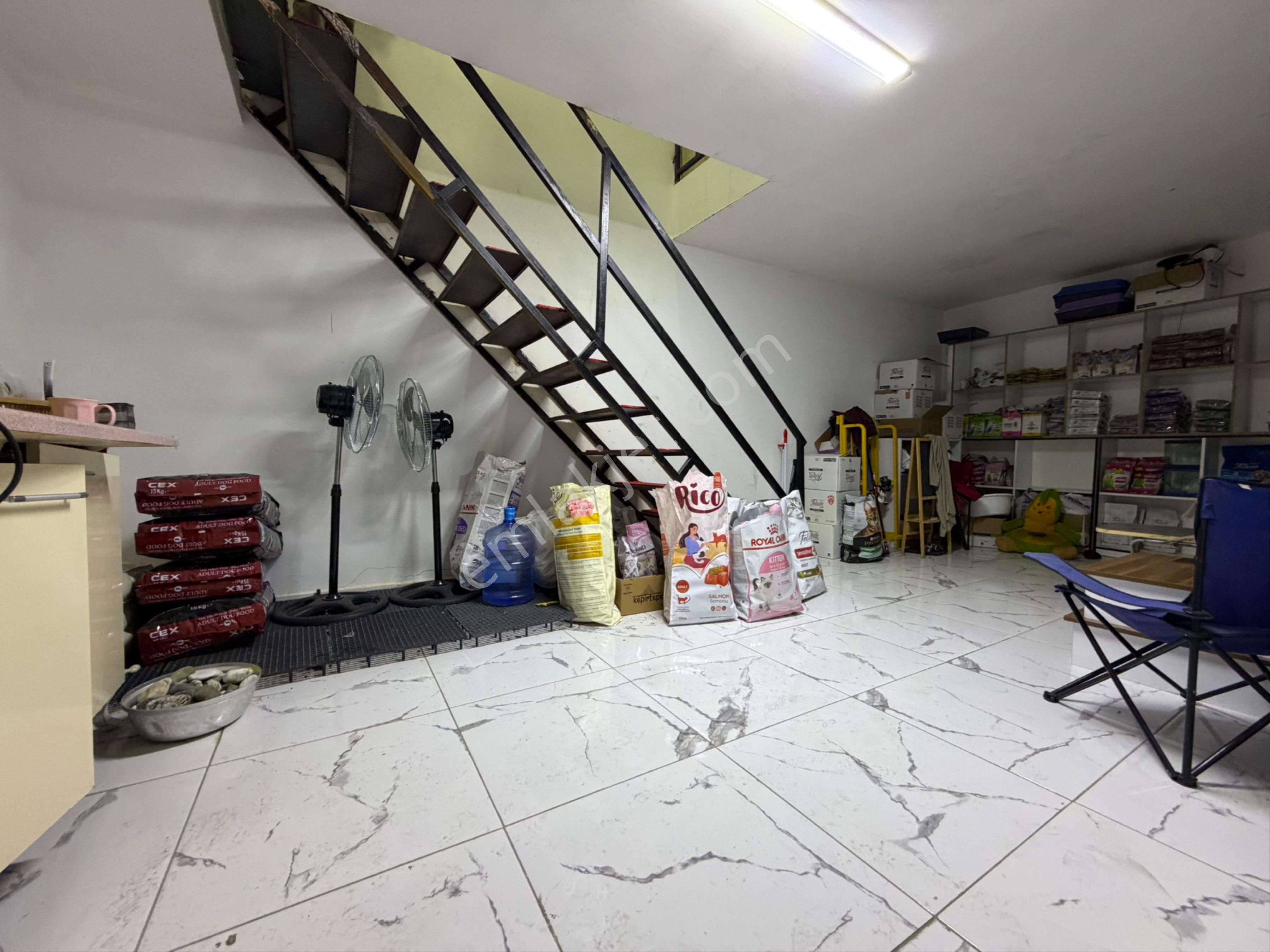 Avcılar’da Tabela Değeri Yüksek-işlek Cadde Üzerinde Pet Shop - Görsel 24