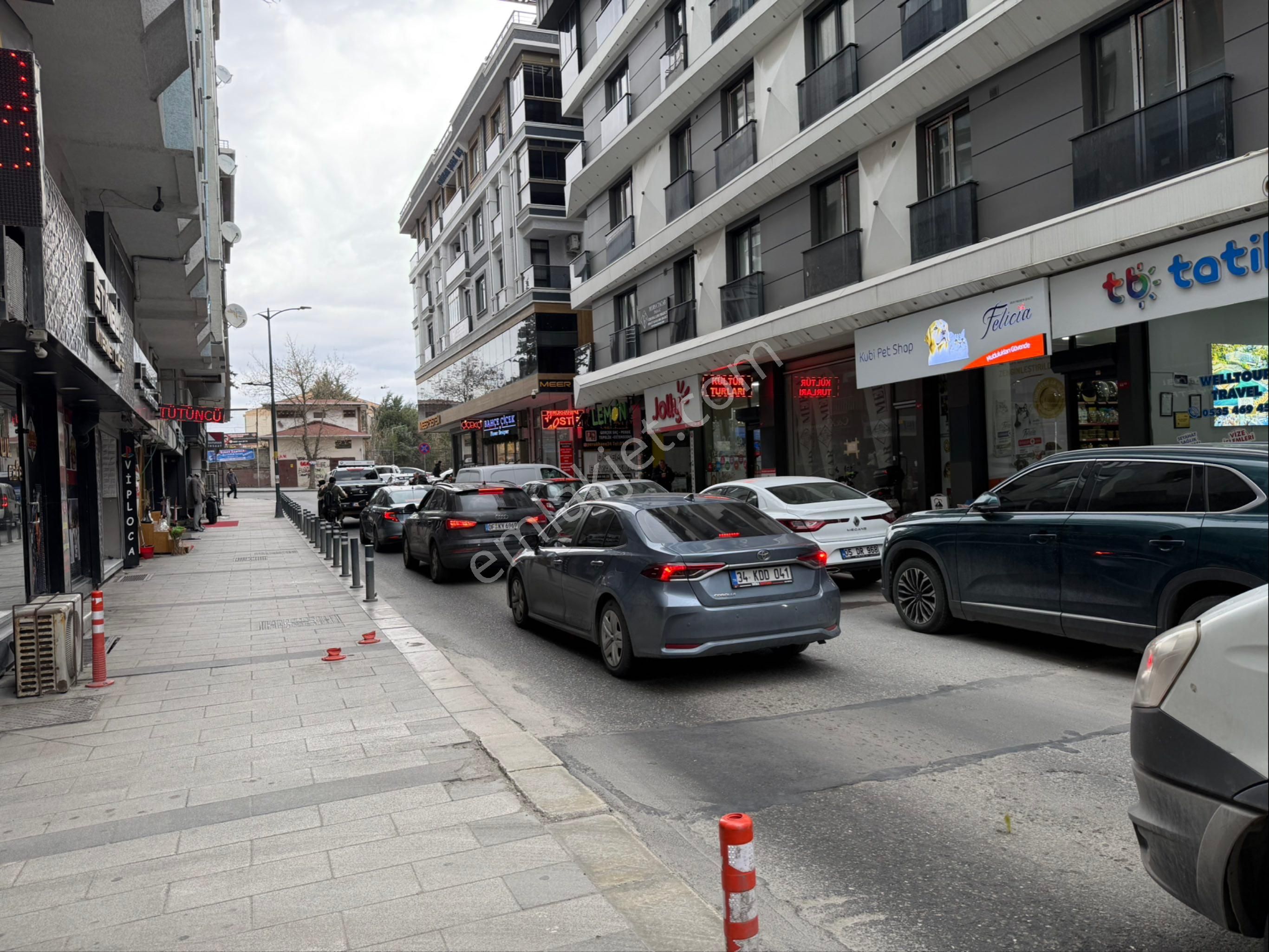Avcılar’da Tabela Değeri Yüksek-işlek Cadde Üzerinde Pet Shop - Görsel 4