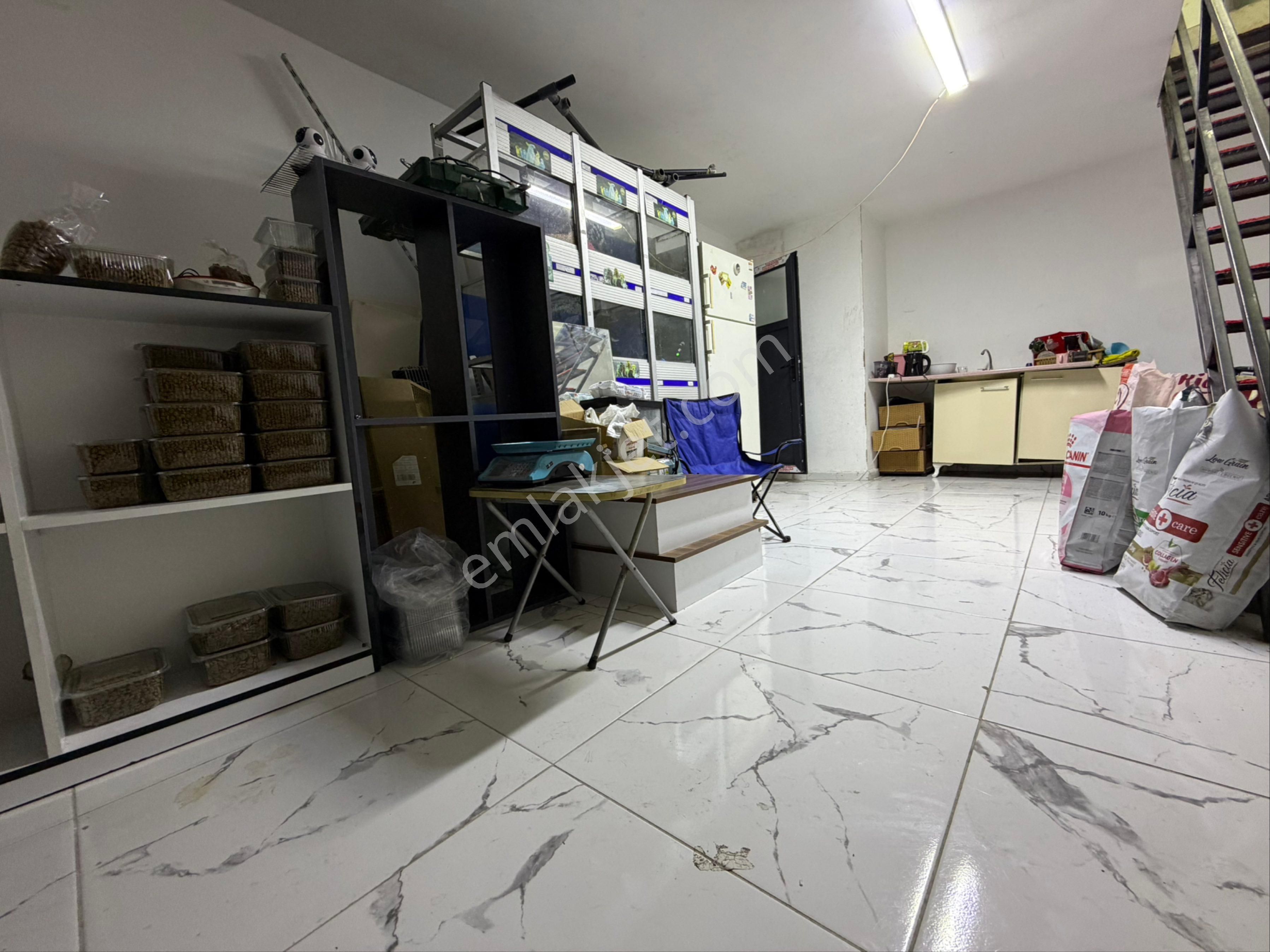 Avcılar’da Tabela Değeri Yüksek-işlek Cadde Üzerinde Pet Shop - Görsel 23