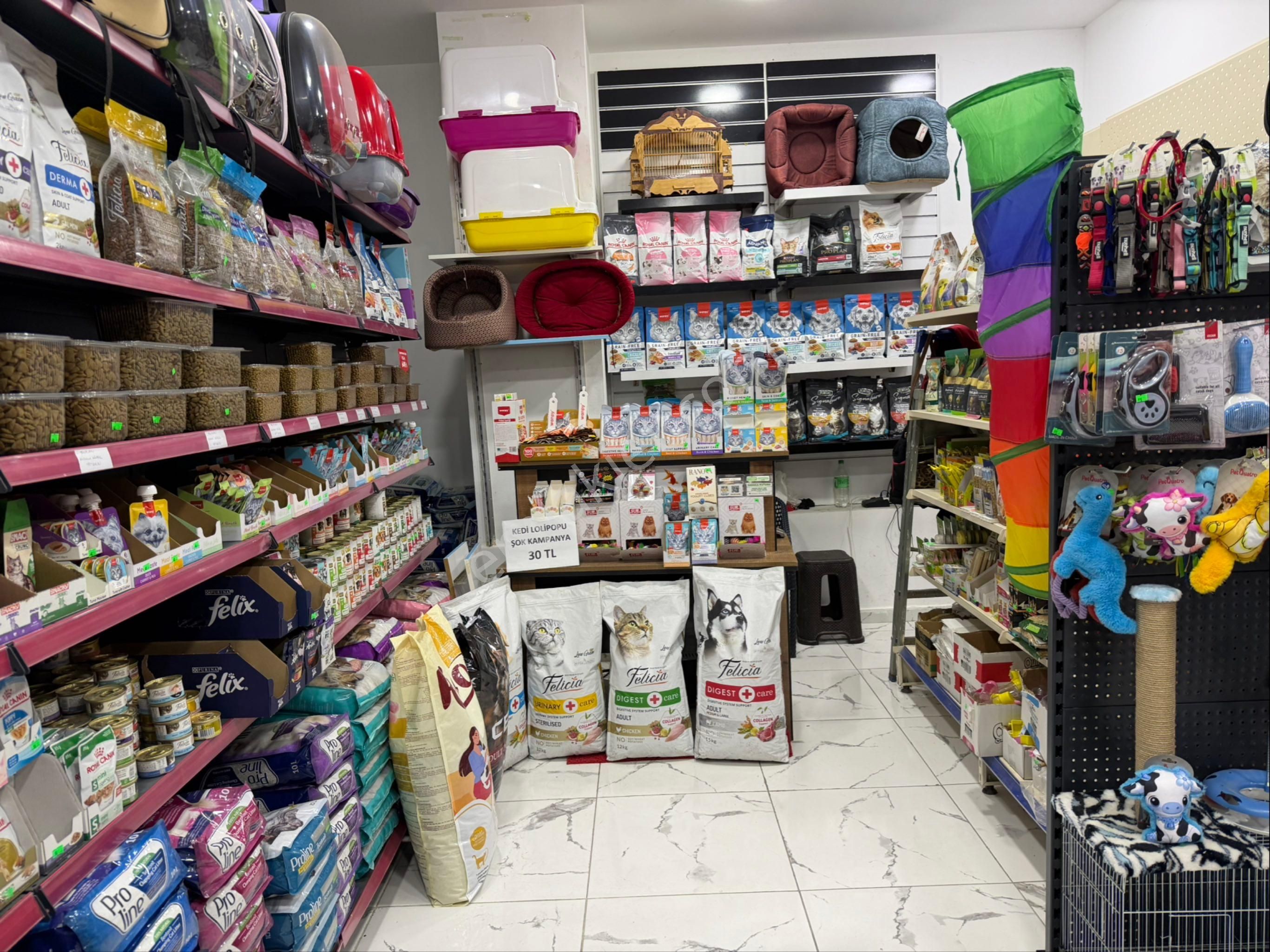 Avcılar’da Tabela Değeri Yüksek-işlek Cadde Üzerinde Pet Shop - Görsel 15