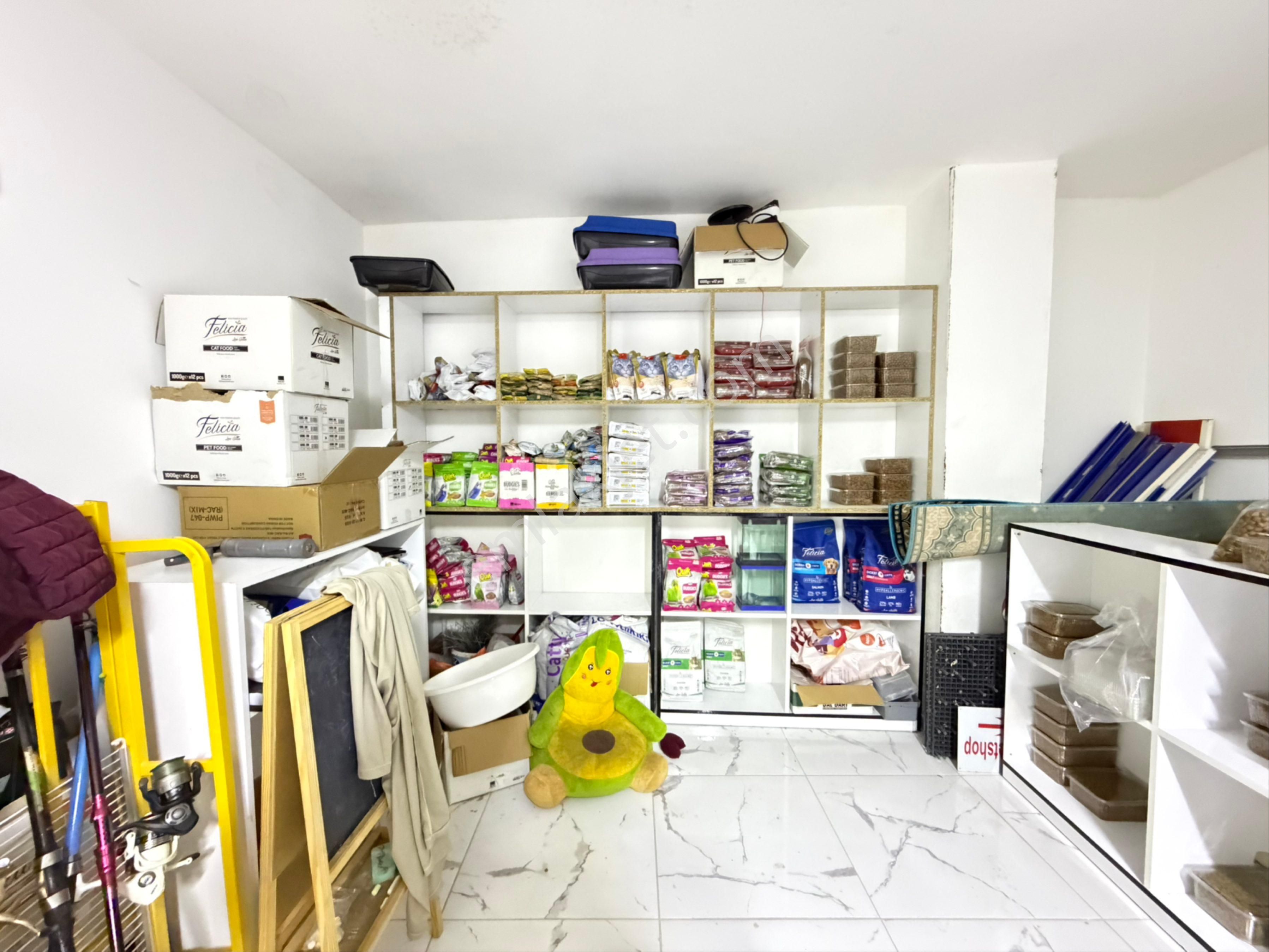 Avcılar’da Tabela Değeri Yüksek-işlek Cadde Üzerinde Pet Shop - Görsel 26
