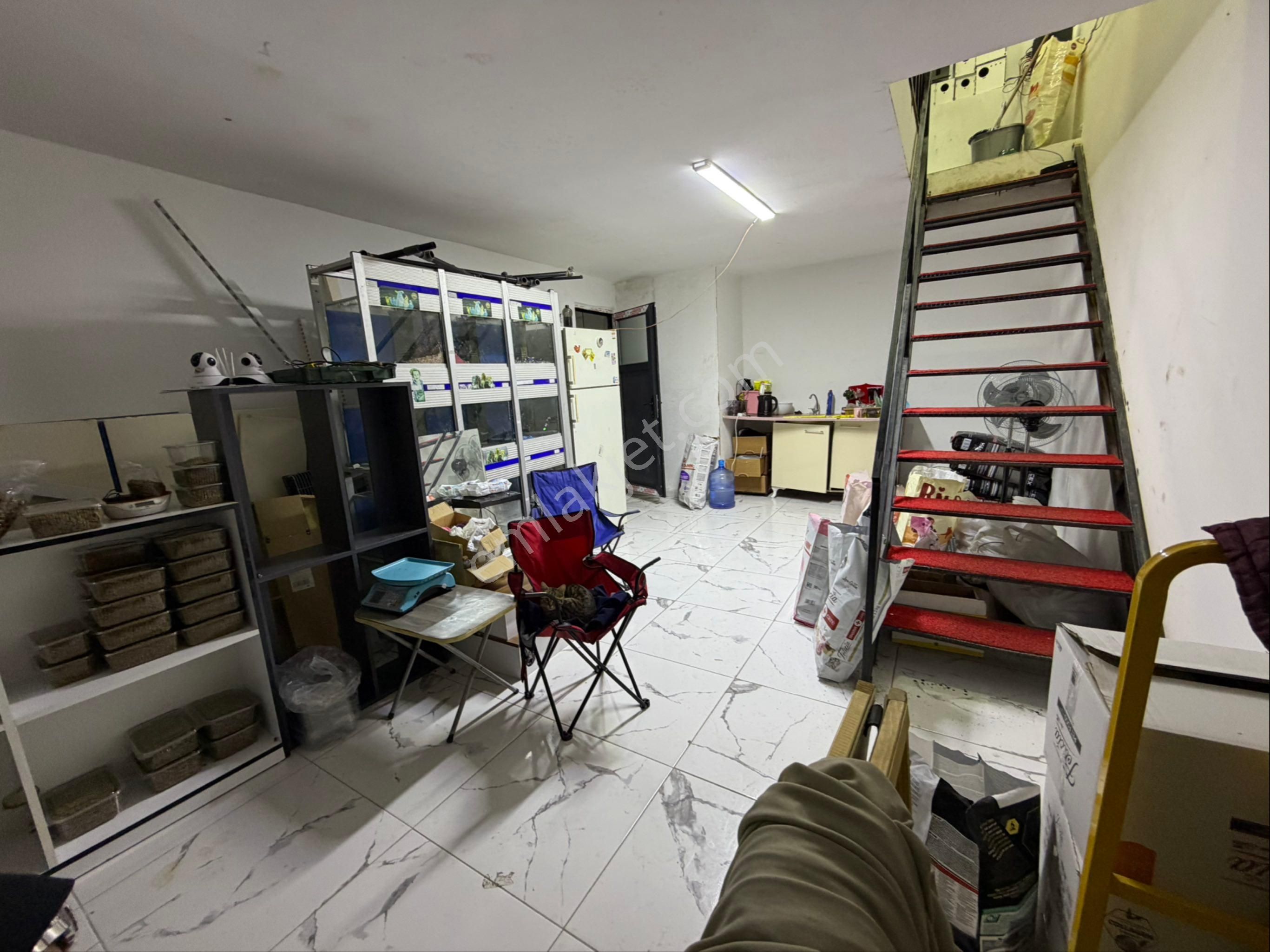 Avcılar’da Tabela Değeri Yüksek-işlek Cadde Üzerinde Pet Shop - Görsel 21