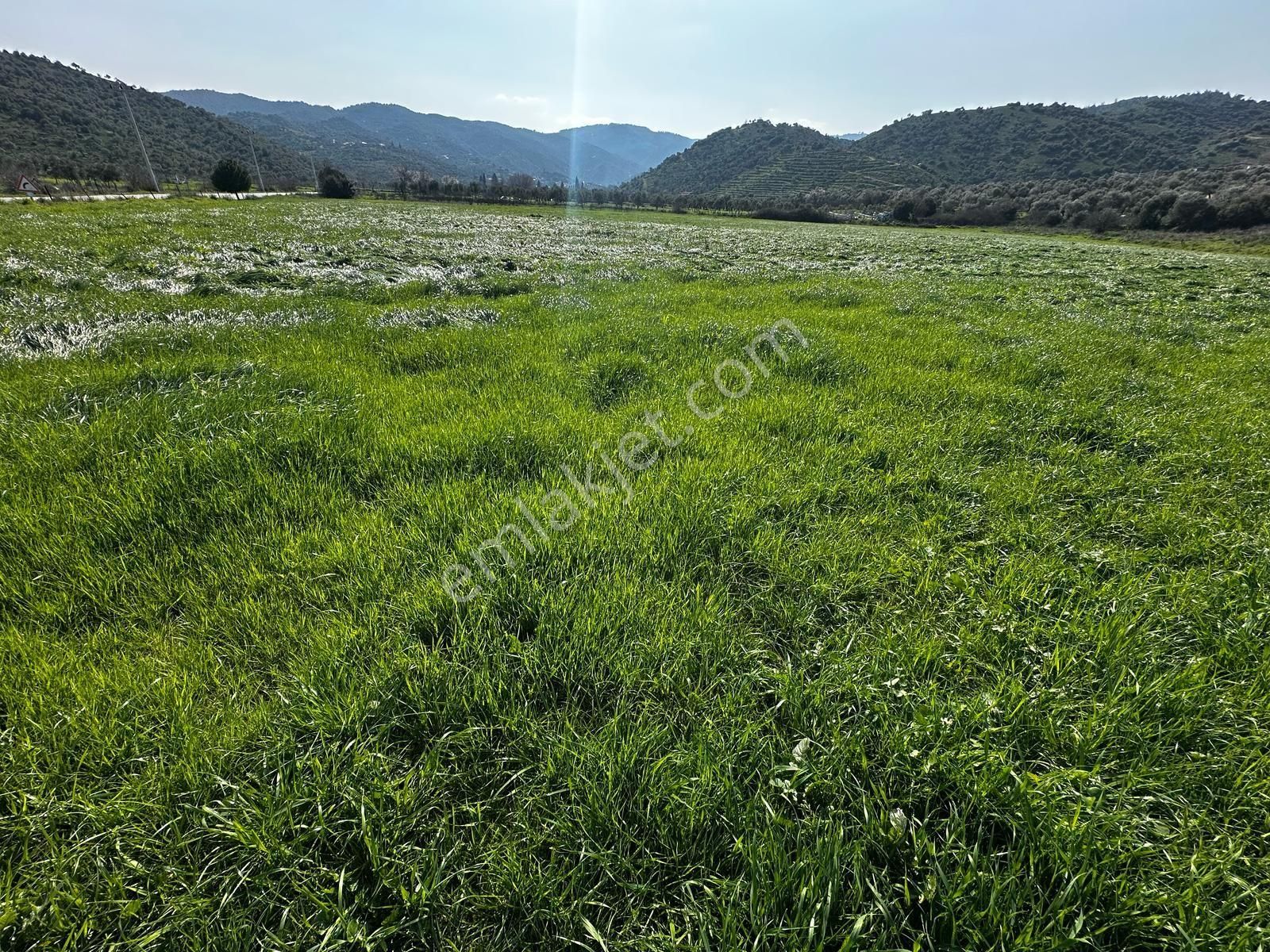 Satılık Verimli Tarla.