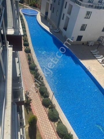 Kuşadasında Site İçinde Yatırıma Uygun 1+1 Satılık Daire - Görsel 25