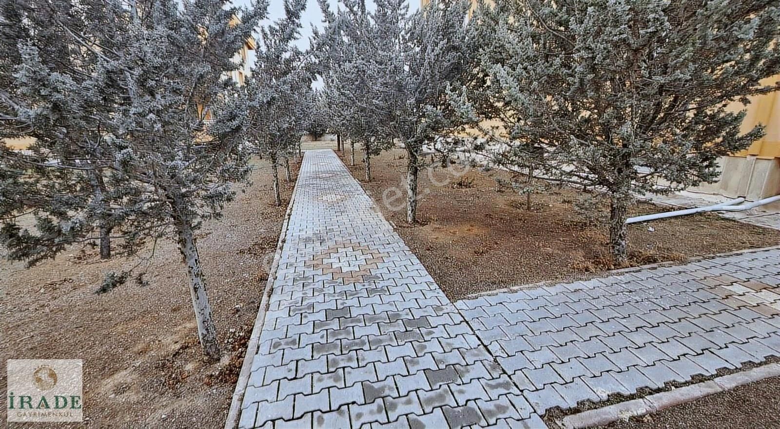 Natura Park Karşısı Yüksek Grş 3+1 Ebeveyn Banyo Kiralık Daire - Görsel 6