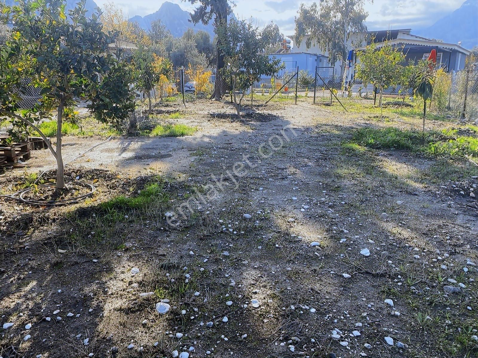 Konyaaltı Çakırlar Köyiçinde Satılık 722m2 Arsa - Görsel 4