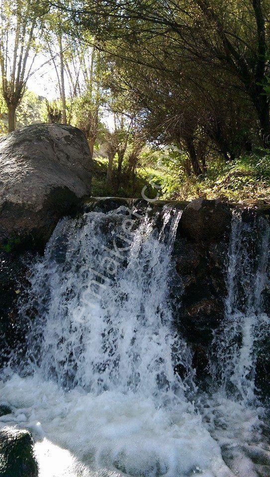 Antalya Akseki Sadıklar Köyünde 313 M2 Yatırımlık Uygun Tarla. Açıklamayı Okuyarak Arayınız. - Görsel 6