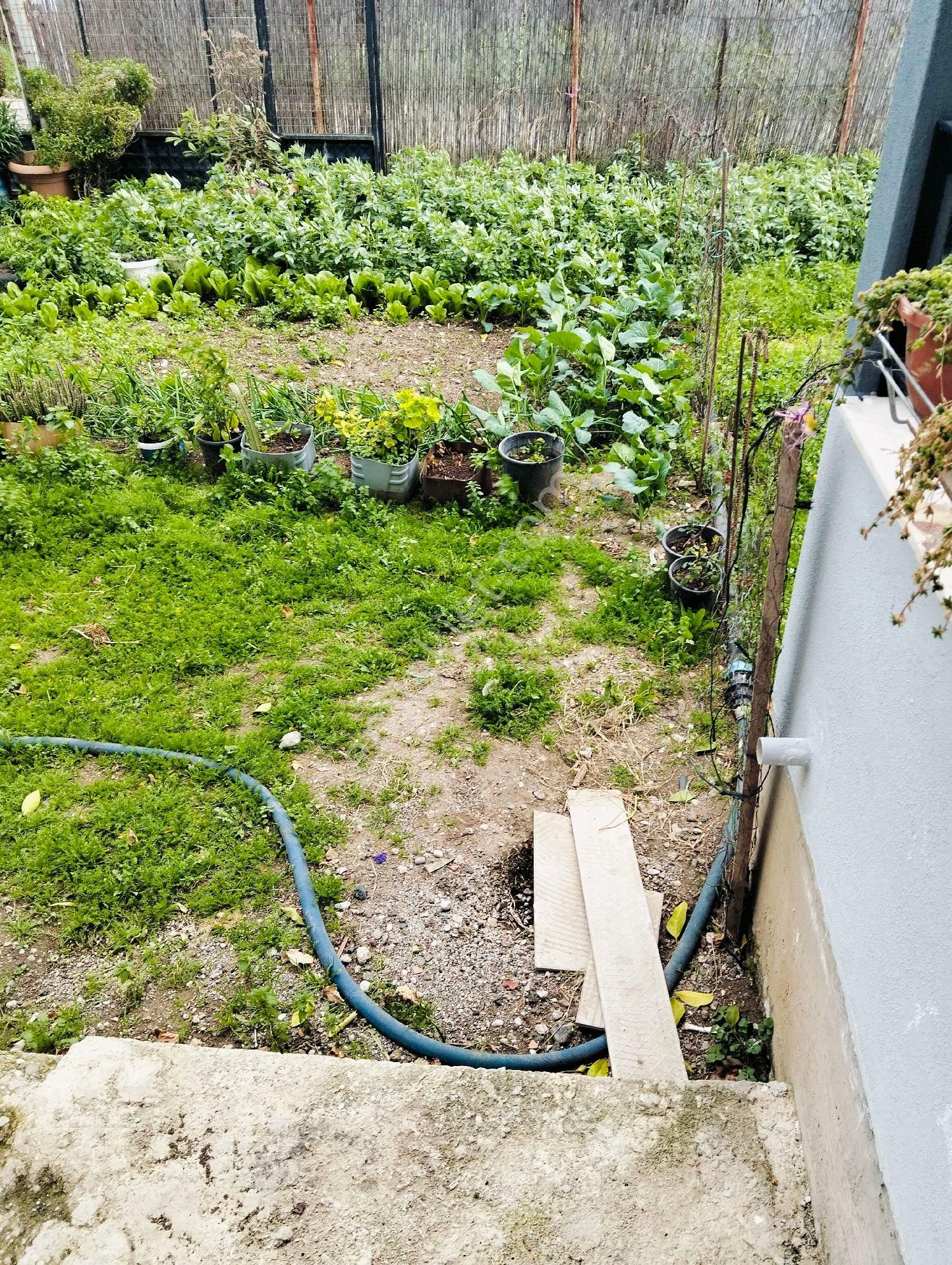 Tespo Arkası Ovada Kiralık 3+1 Daire - Görsel 11