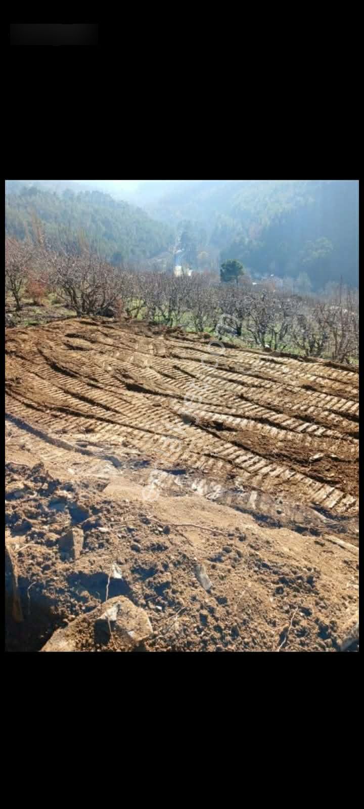 İzmir Torbalı Gold Emlaktan Satılık Bahçe - Görsel 6