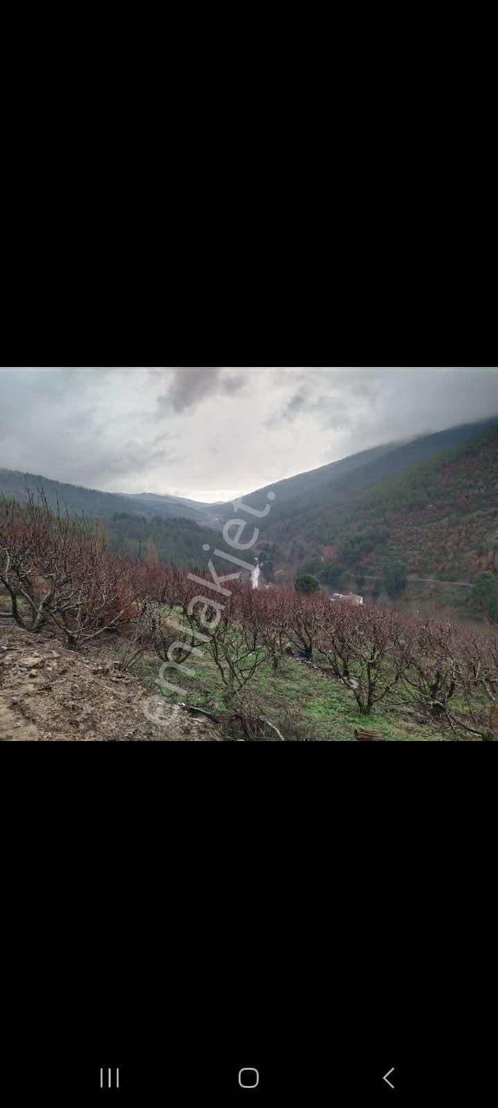 İzmir Torbalı Gold Emlaktan Satılık Bahçe - Görsel 3