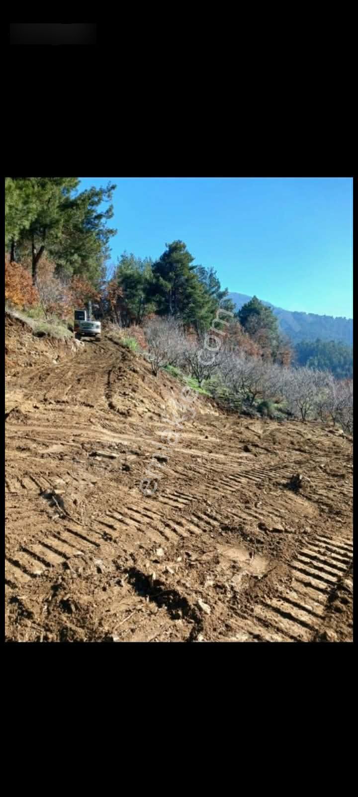İzmir Torbalı Gold Emlaktan Satılık Bahçe - Görsel 5