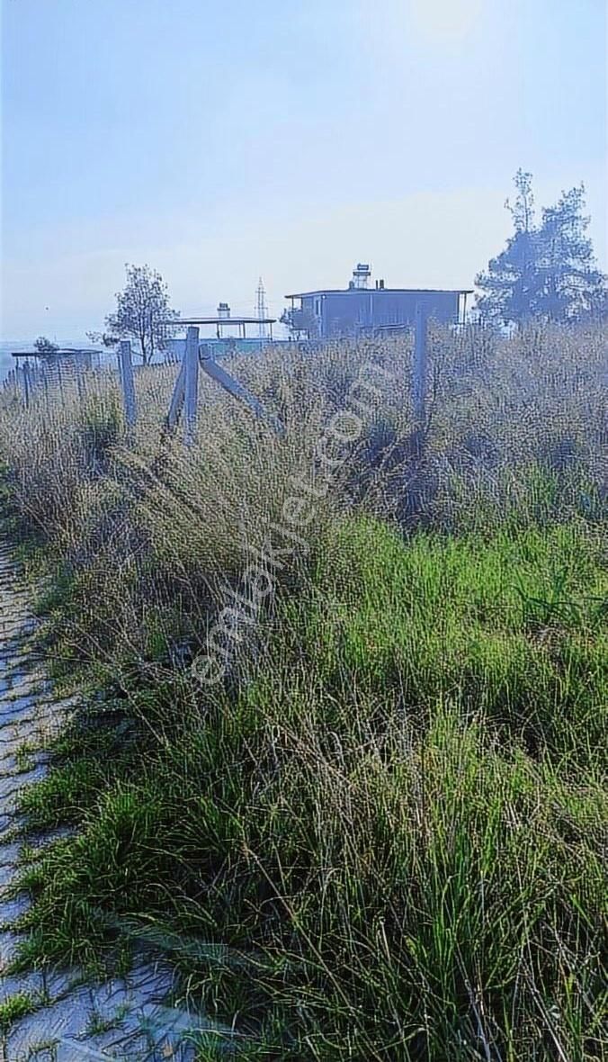 Çapak Satılık Mirastan Bülünme Yerimiz - Görsel 10