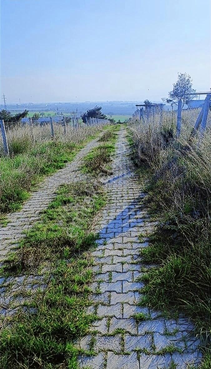 Çapak Satılık Mirastan Bülünme Yerimiz - Görsel 6