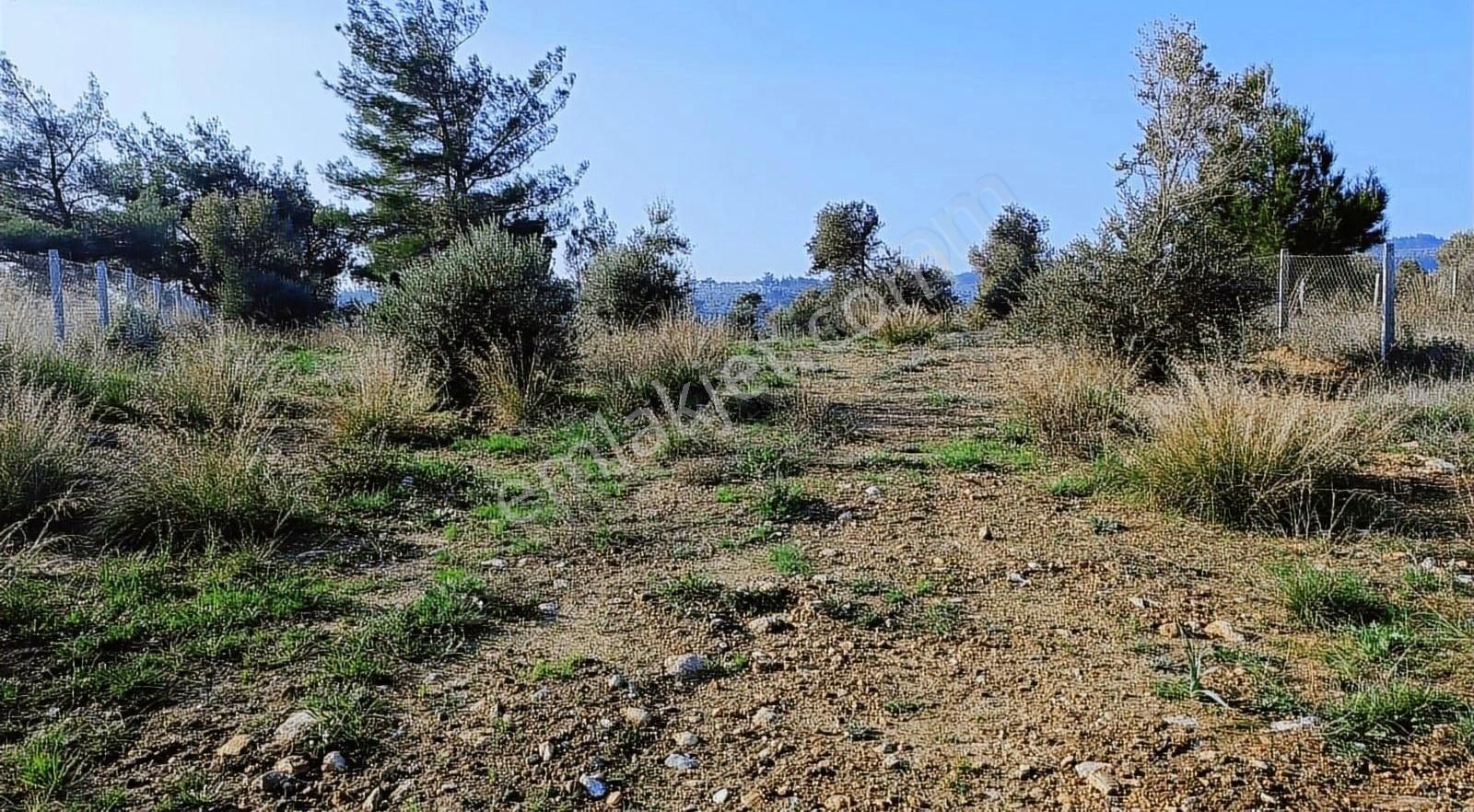 Çapak Satılık Mirastan Bülünme Yerimiz - Görsel 9