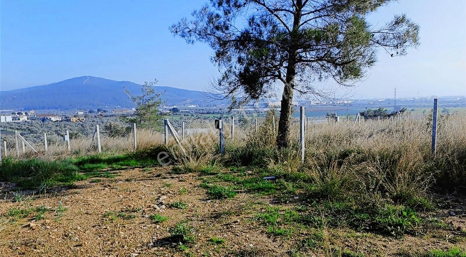 Çapak Satılık Mirastan Bülünme Yerimiz - Görsel 8