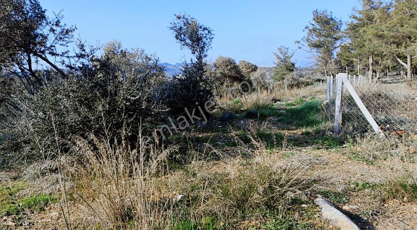 Çapak Satılık Mirastan Bülünme Yerimiz - Görsel 3