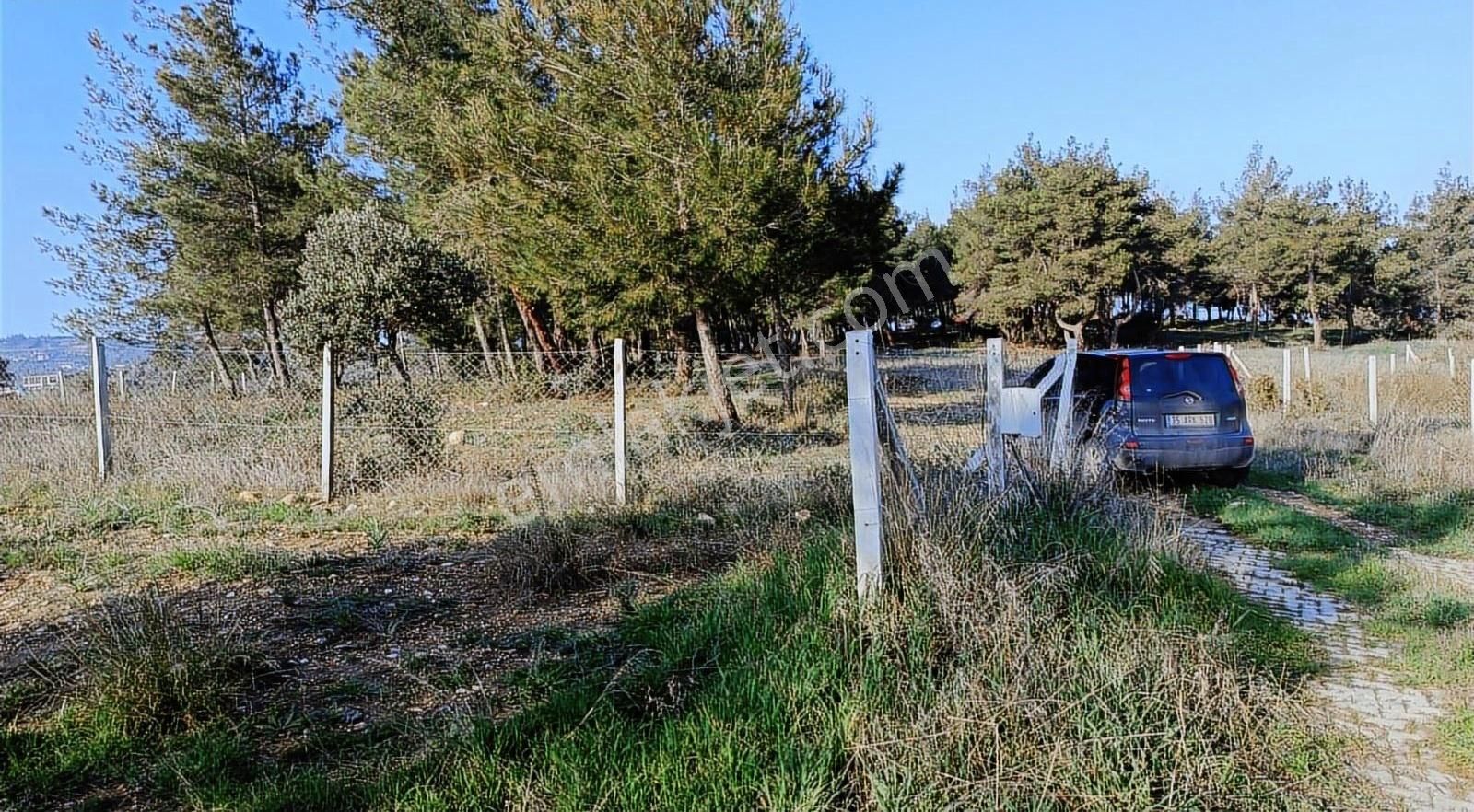 Çapak Satılık Mirastan Bülünme Yerimiz