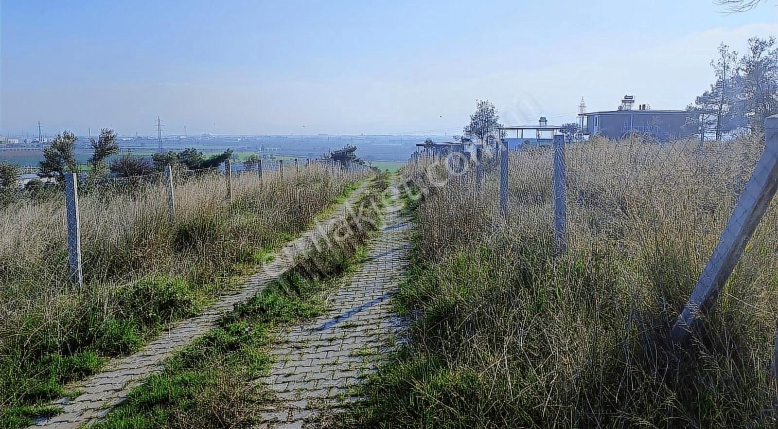 Çapak Satılık Mirastan Bülünme Yerimiz - Görsel 4