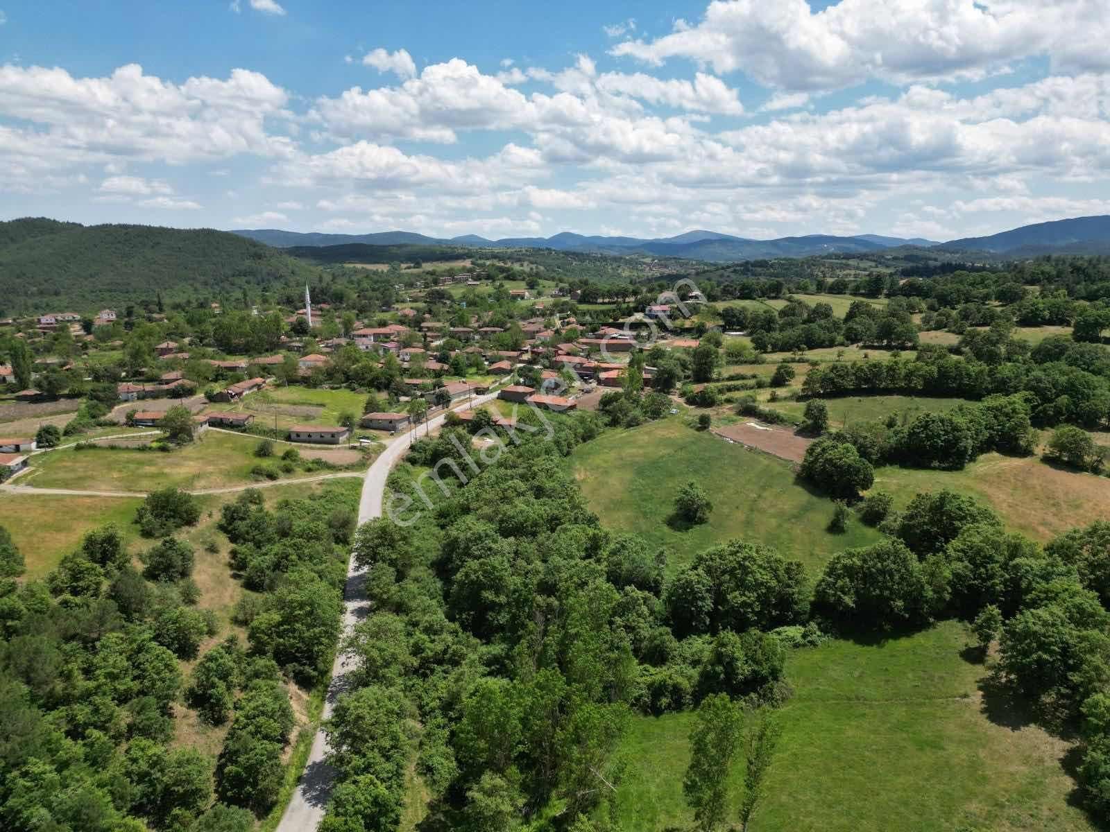 Kalkıma En Yakın Bağlı Köyünde Yola 85 Mt Cepheli İmar Sınırında - Görsel 5