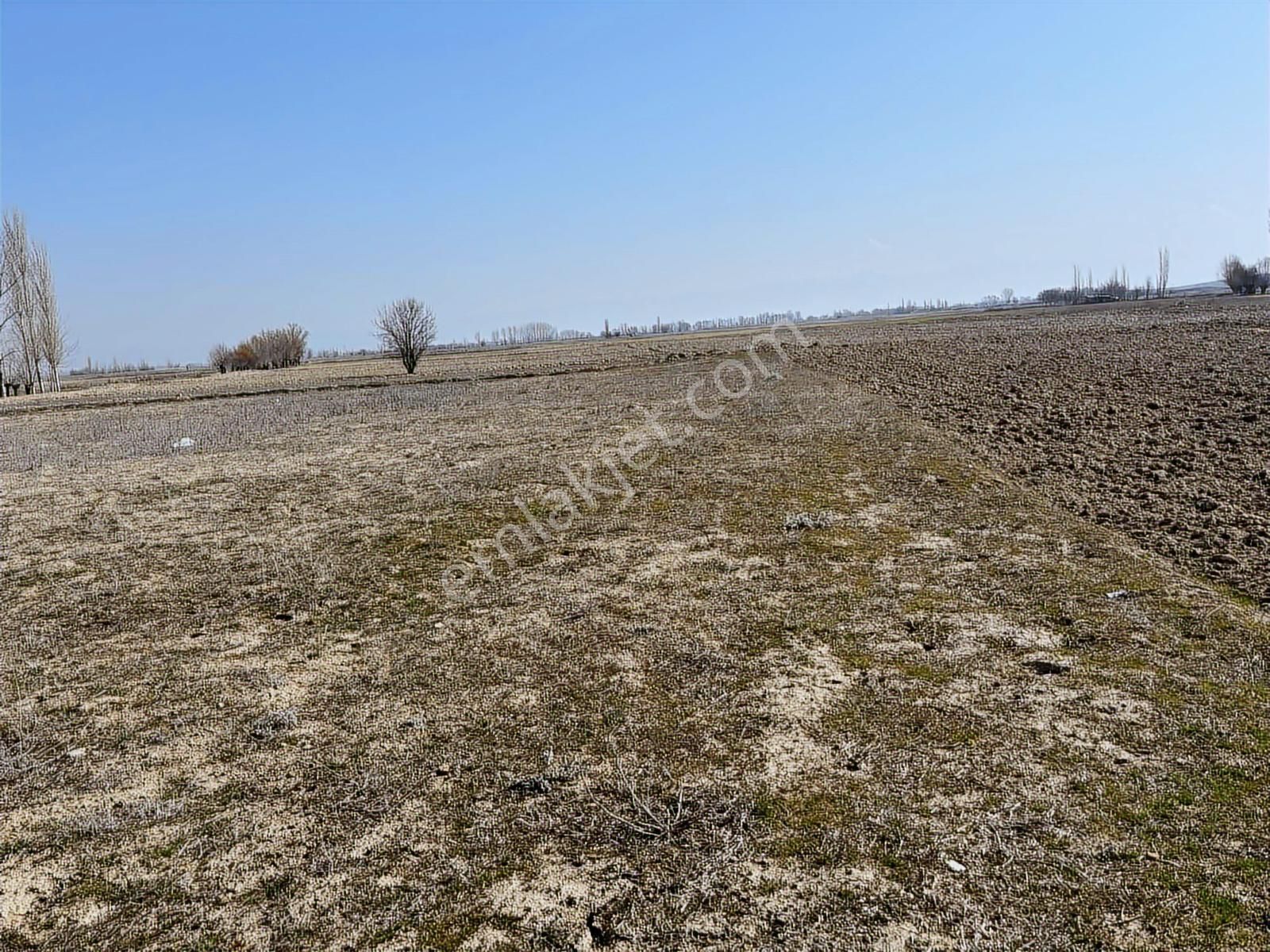 3000 Mt Arazi.anayola Cepheli.köye Yakın.tek Tapu. - Görsel 11