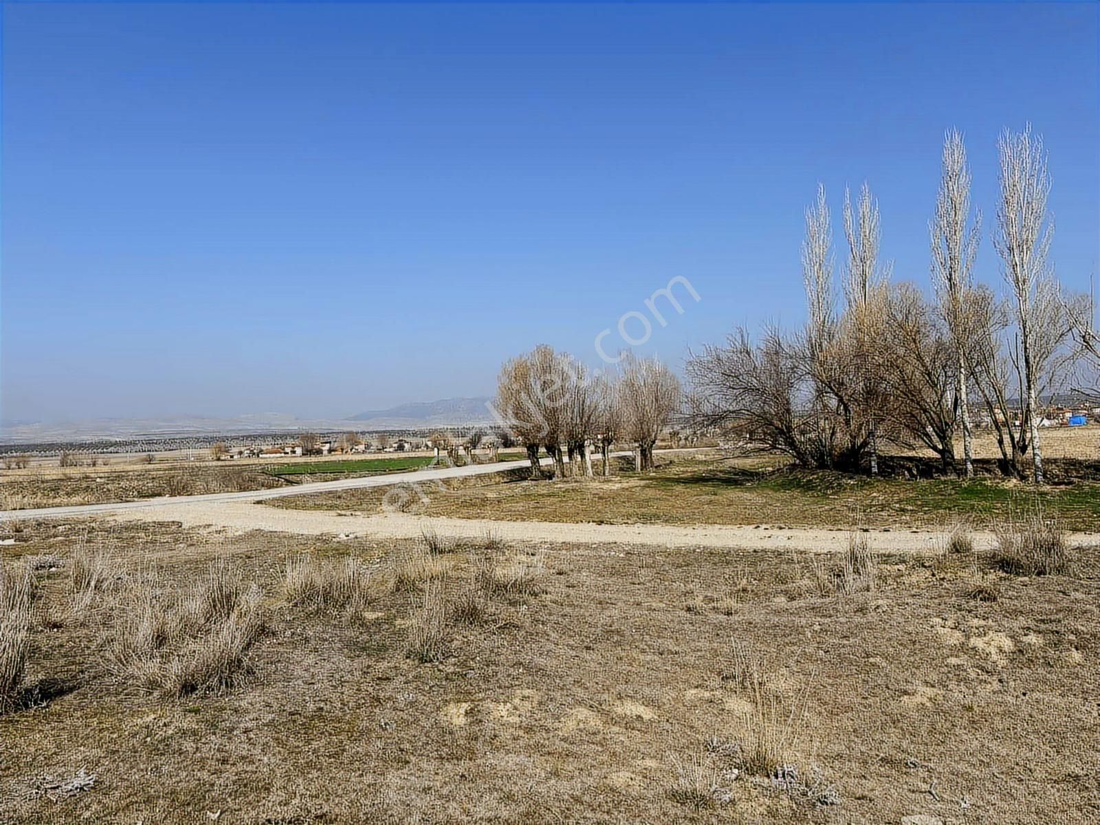 3000 Mt Arazi.anayola Cepheli.köye Yakın.tek Tapu. - Görsel 26