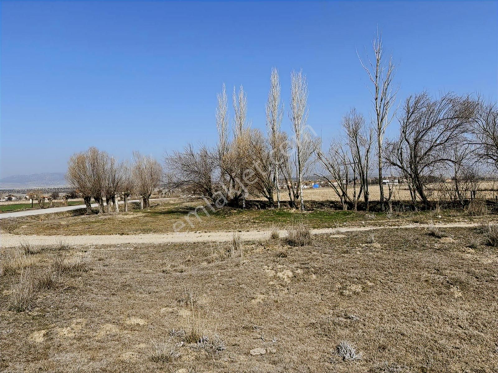 3000 Mt Arazi.anayola Cepheli.köye Yakın.tek Tapu. - Görsel 25