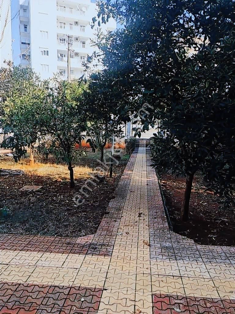 Lara Düden Yakını Site Müstakil Bahçeli Eşyalı Kiralık 1+1 Daire - Görsel 15