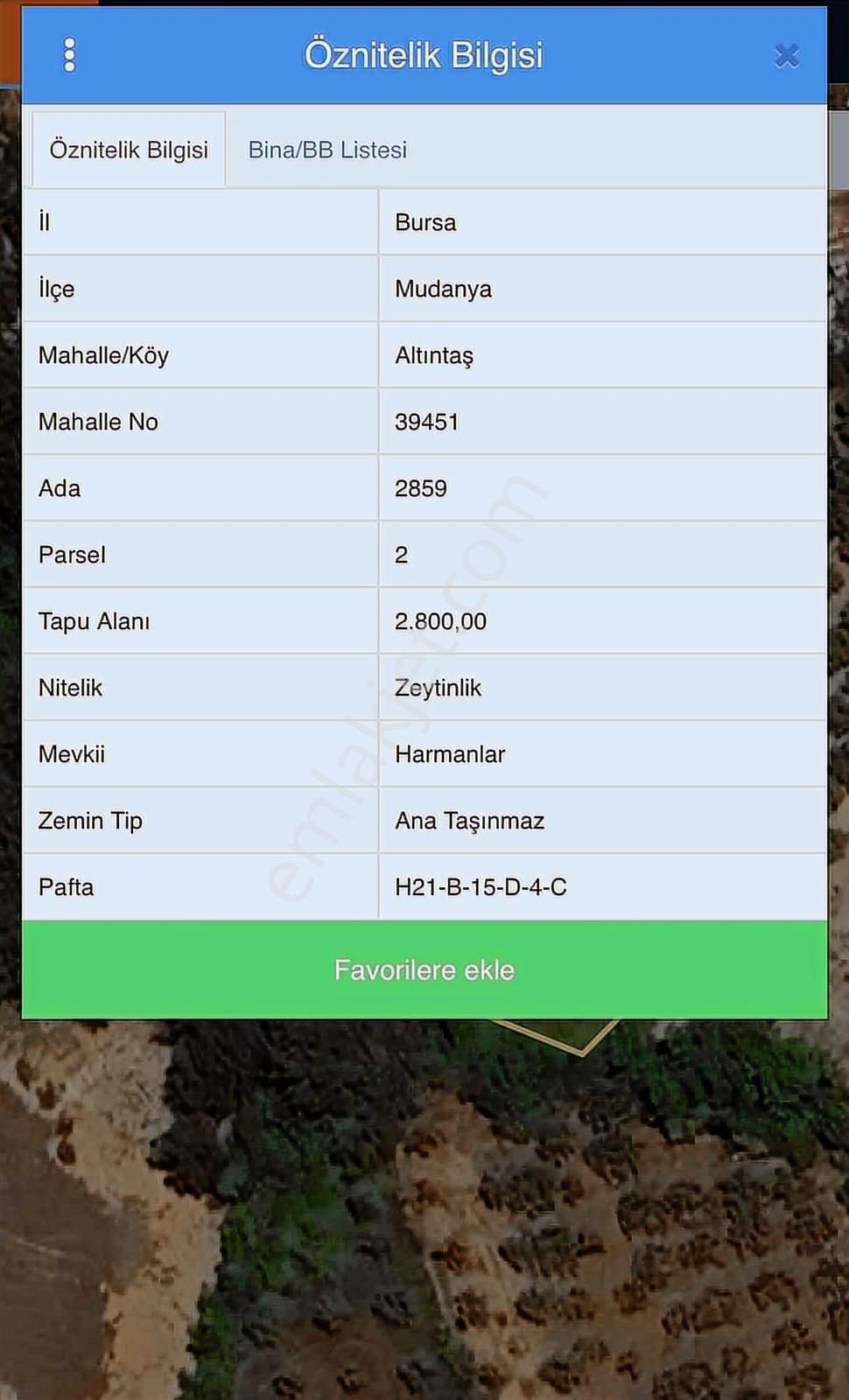 Rw Land Gayrimenkul Den Altıntaş Ta 2800 M2 Zeytinlik