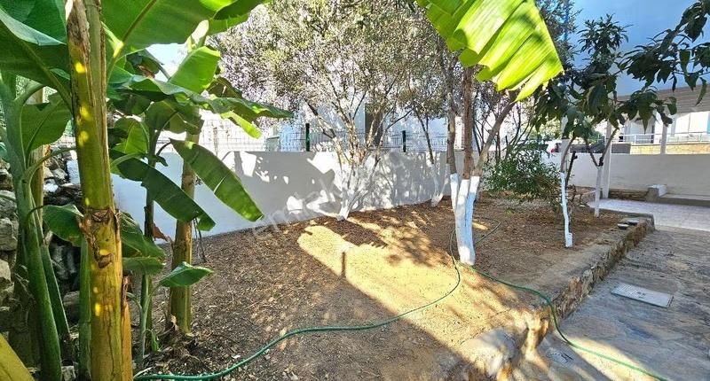 Gümüşlük Merkezde Müstakil Parselli, Bahçeli Ve Aidatsız 3+1 - Görsel 5