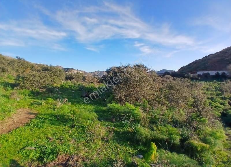 Bodrum Gümüşlükte Satılık %5 İmarlı Tarla - Görsel 6