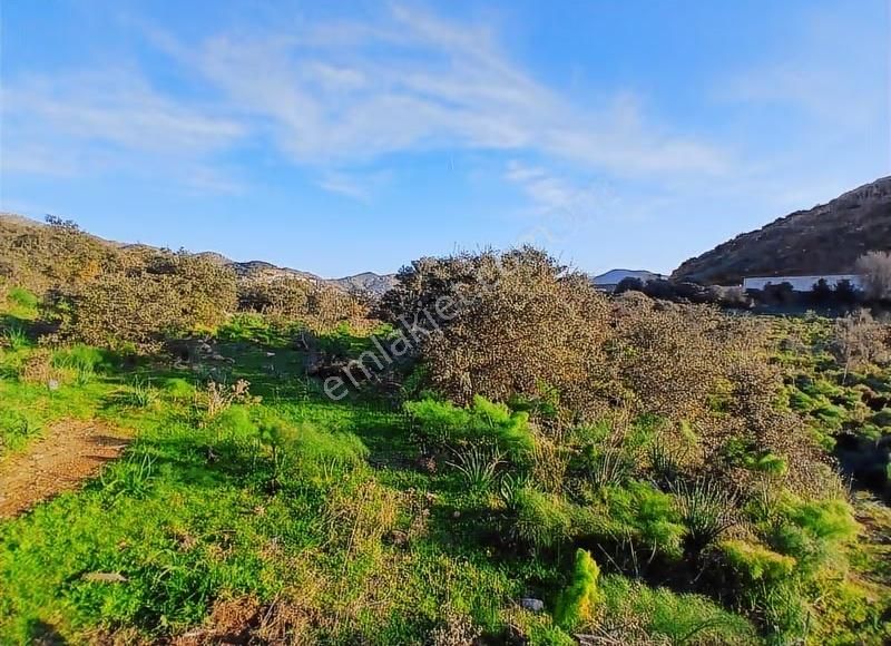 Bodrum Gümüşlükte Satılık %5 İmarlı Tarla - Görsel 3
