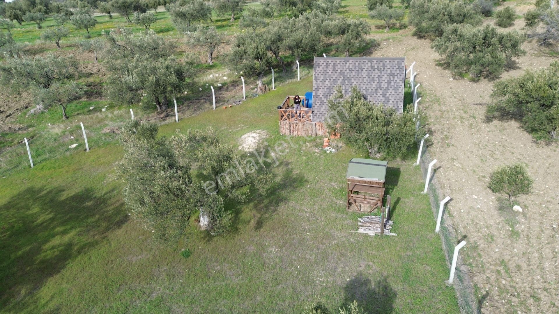 Aşağışakranda 1878m2 Tek Tapu Tel İle Çevrili Bungalov Olan - Görsel 22