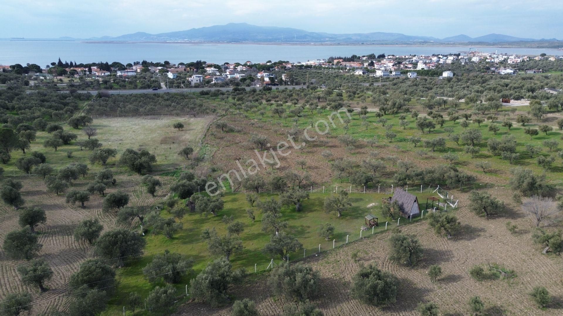 Aşağışakranda 1878m2 Tek Tapu Tel İle Çevrili Bungalov Olan - Görsel 6