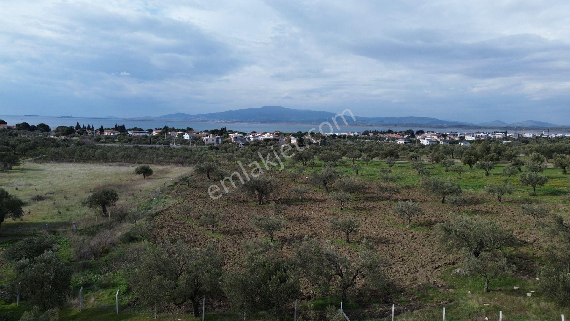 Aşağışakranda 1878m2 Tek Tapu Tel İle Çevrili Bungalov Olan - Görsel 20