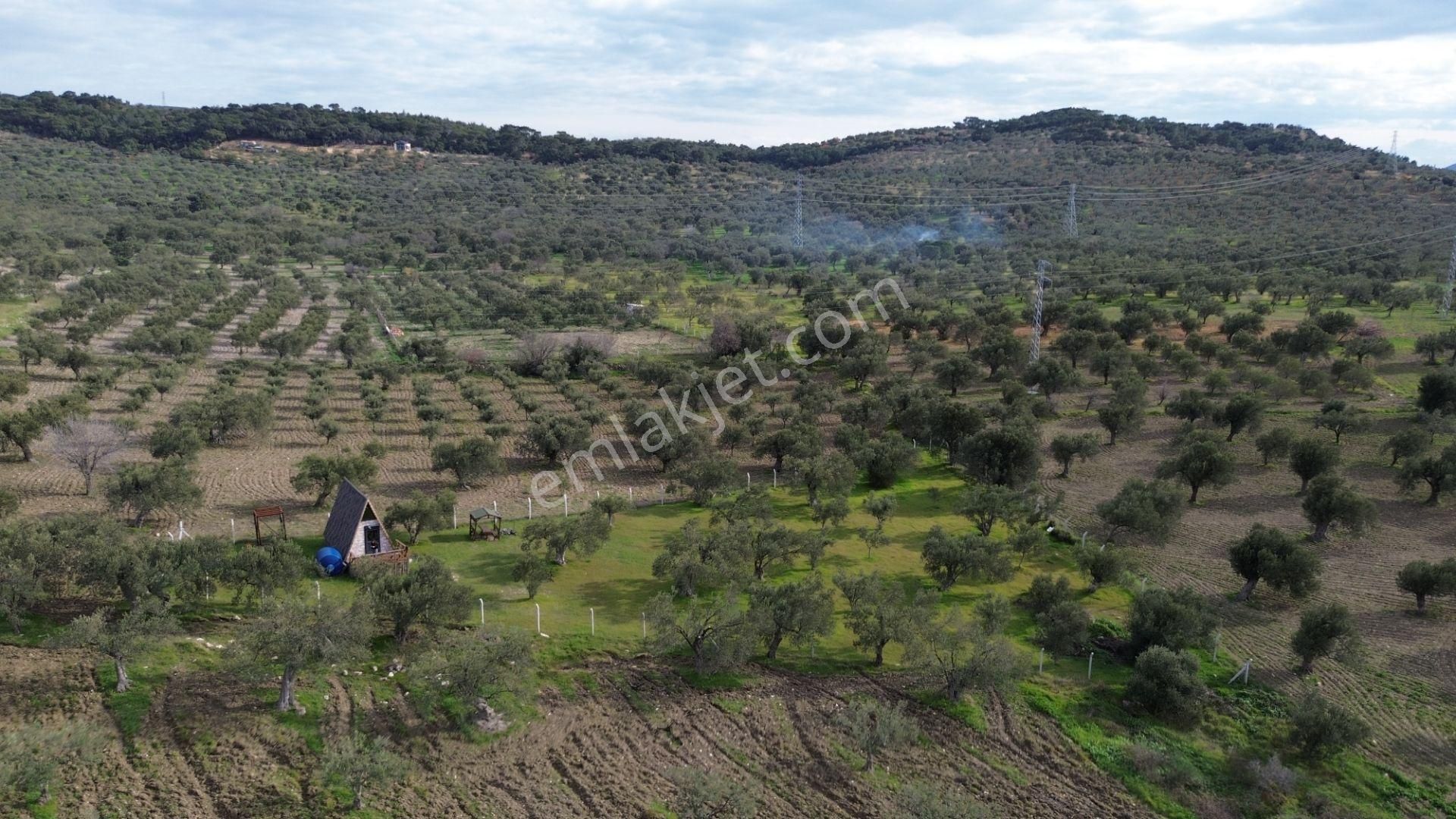 Aşağışakranda 1878m2 Tek Tapu Tel İle Çevrili Bungalov Olan - Görsel 4