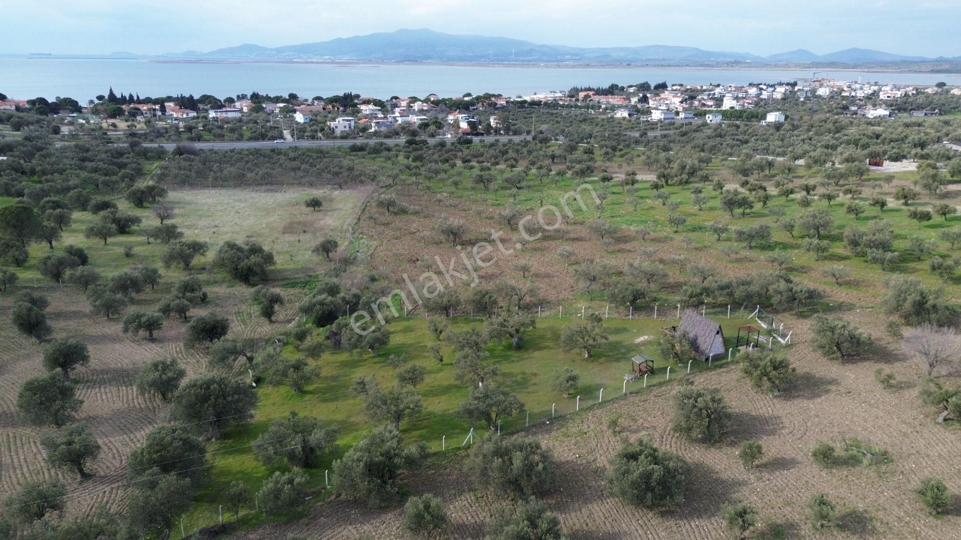 Aşağışakranda 1878m2 Tek Tapu Tel İle Çevrili Bungalov Olan - Görsel 10