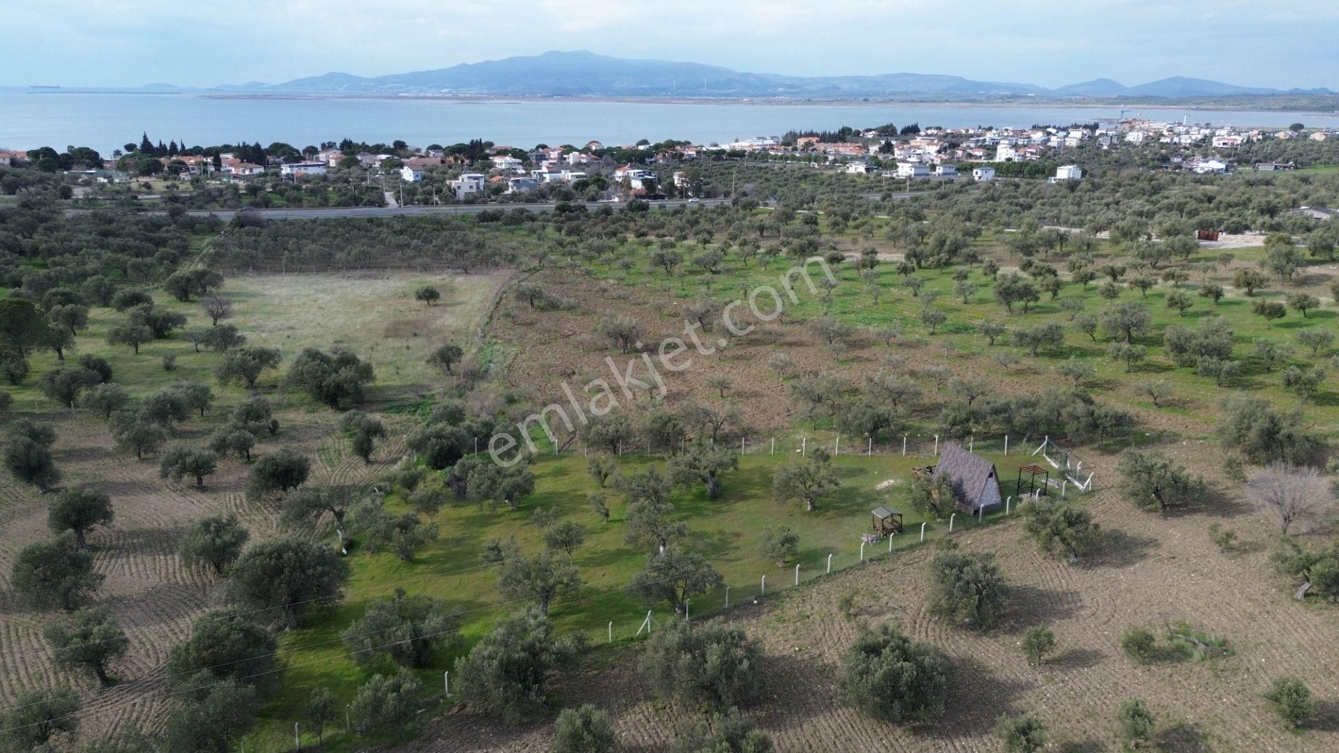 Aşağışakranda 1878m2 Tek Tapu Tel İle Çevrili Bungalov Olan - Görsel 7