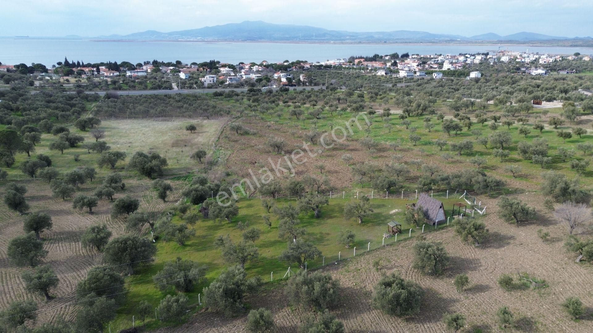 Aşağışakranda 1878m2 Tek Tapu Tel İle Çevrili Bungalov Olan - Görsel 8