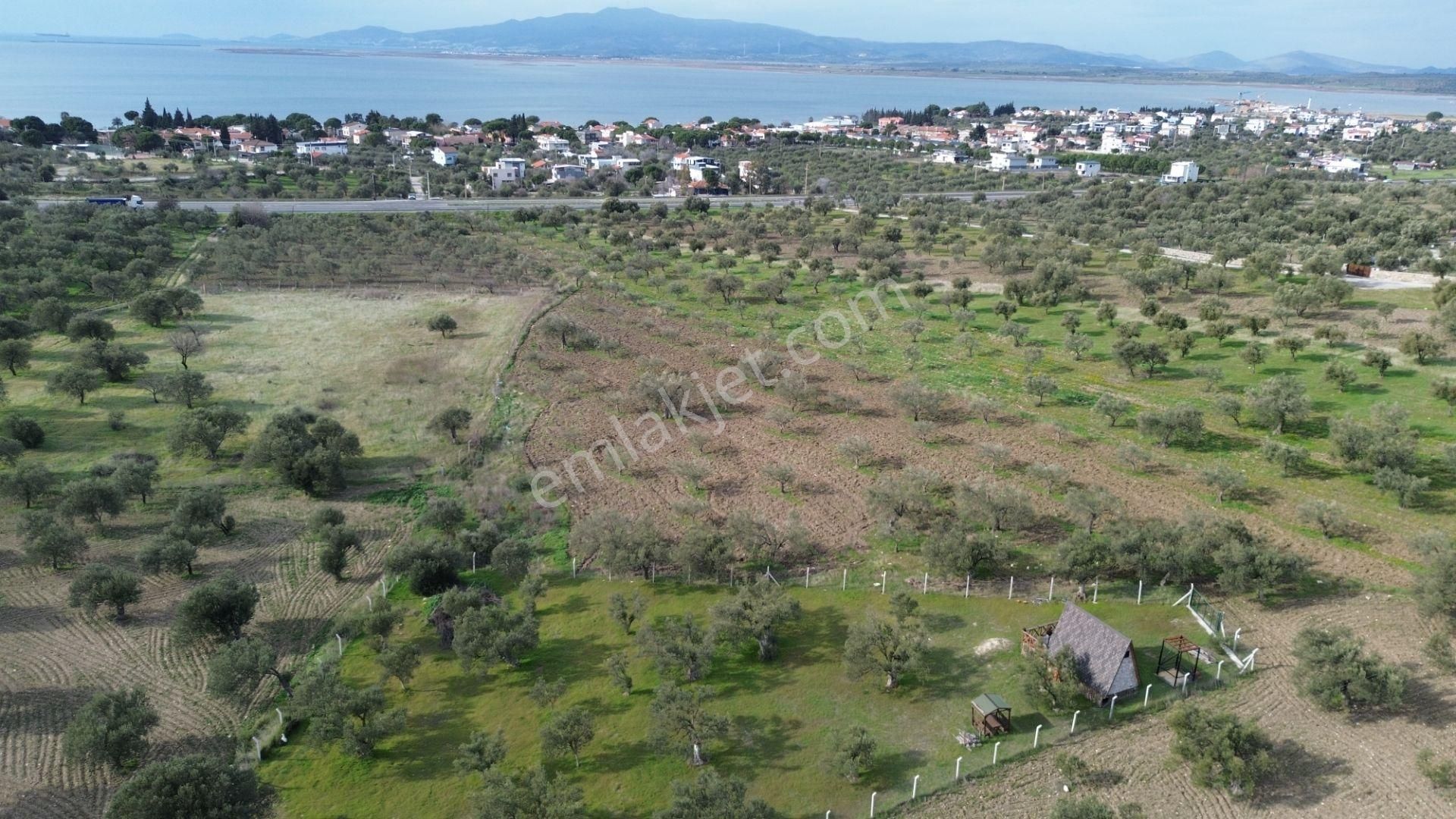 Aşağışakranda 1878m2 Tek Tapu Tel İle Çevrili Bungalov Olan - Görsel 18