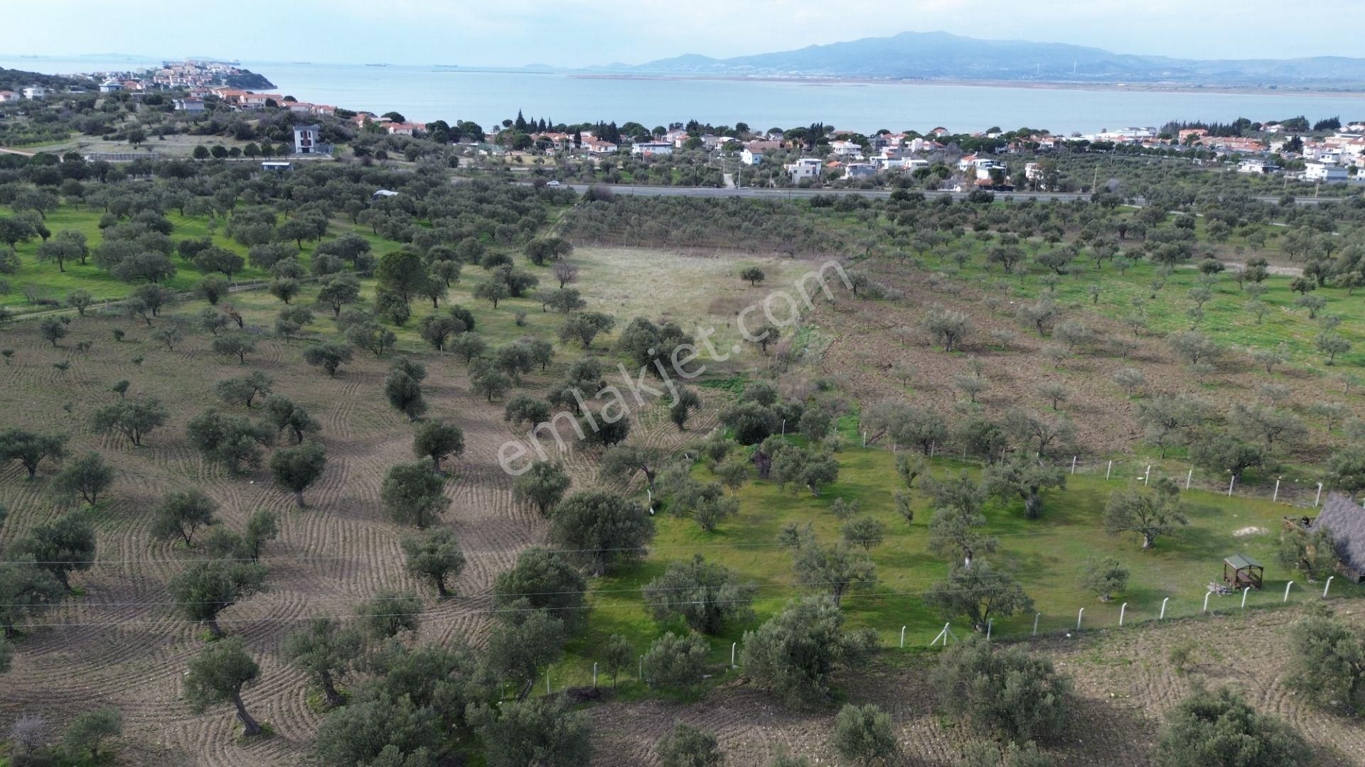 Aşağışakranda 1878m2 Tek Tapu Tel İle Çevrili Bungalov Olan - Görsel 11