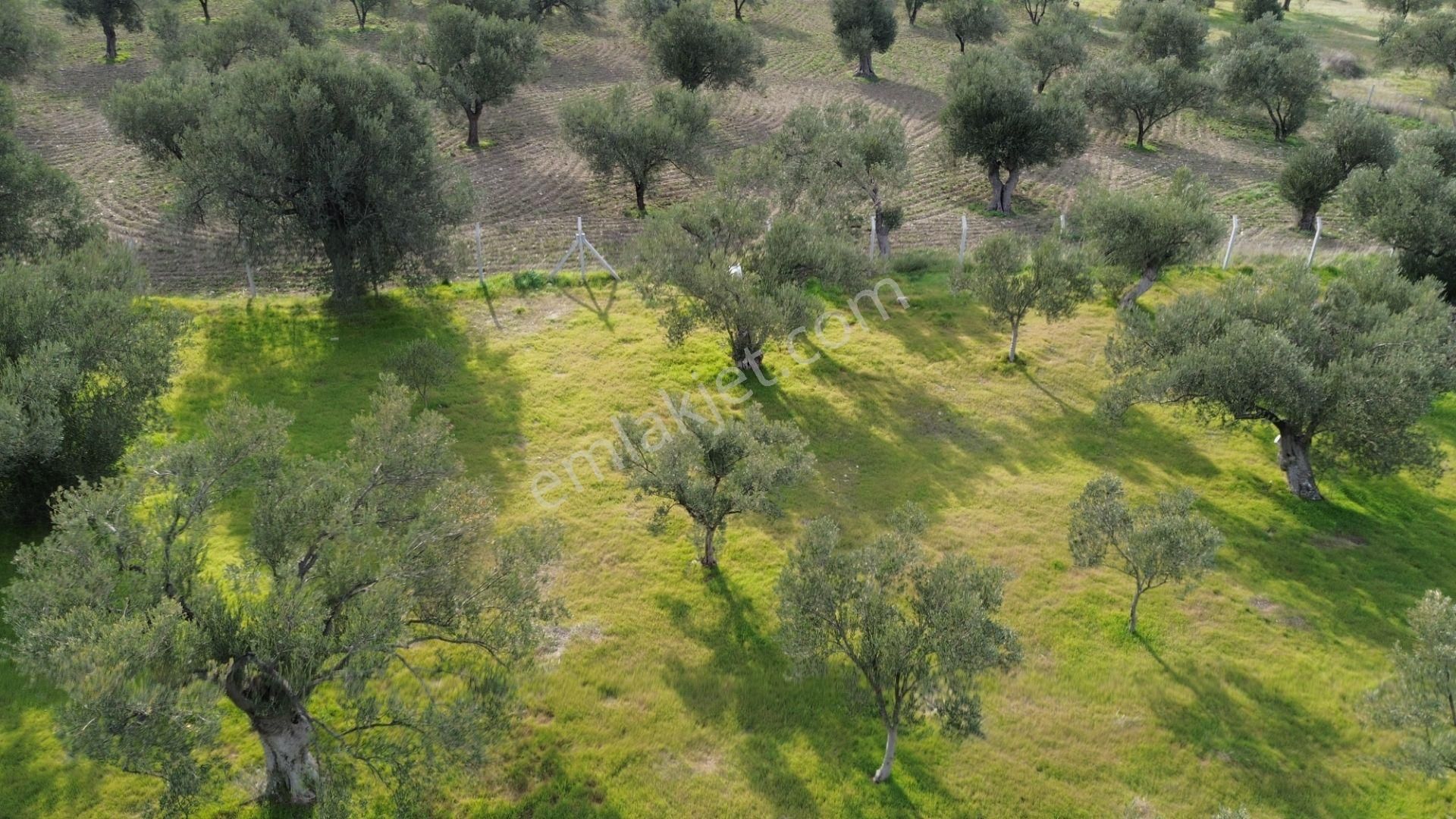 Aşağışakranda 1878m2 Tek Tapu Tel İle Çevrili Bungalov Olan - Görsel 25