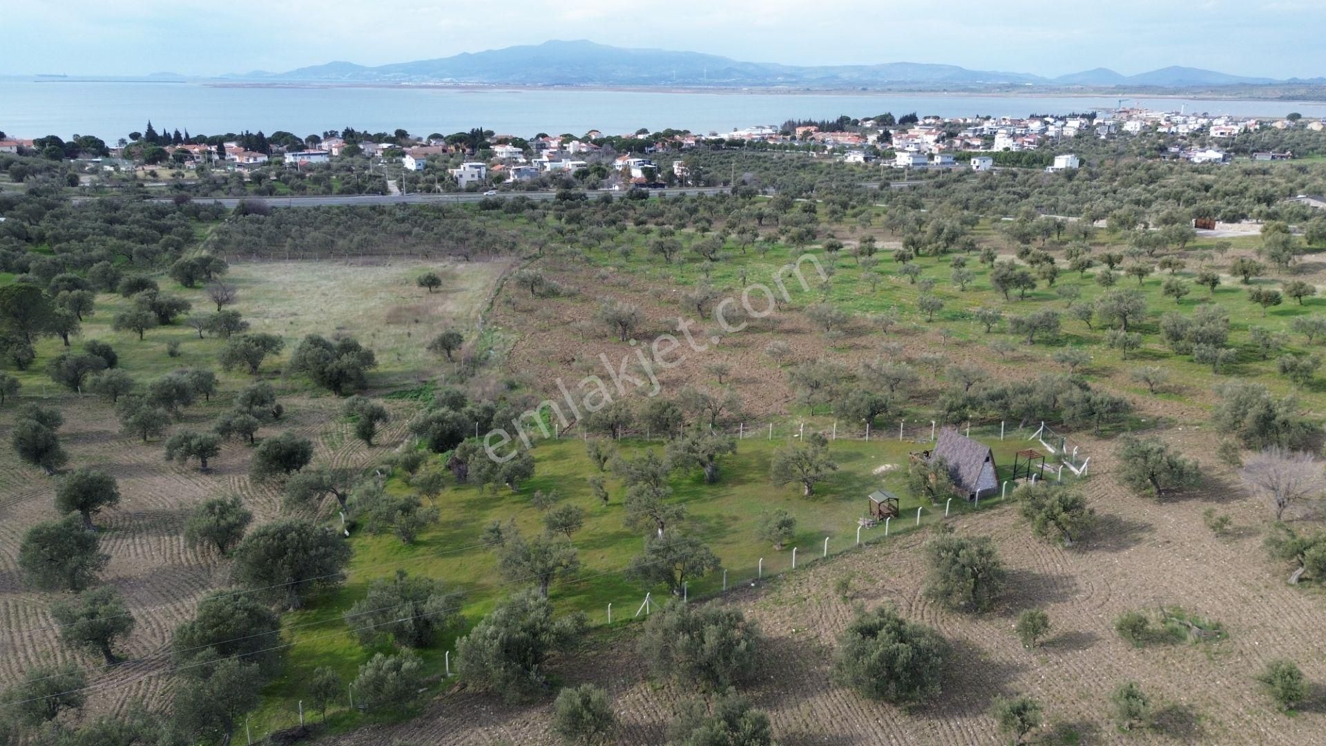 Aşağışakranda 1878m2 Tek Tapu Tel İle Çevrili Bungalov Olan - Görsel 9