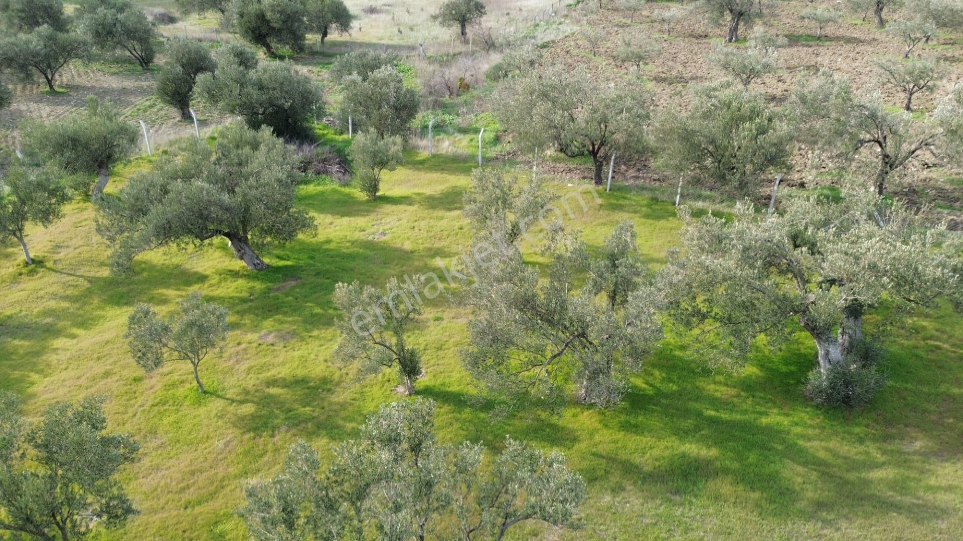 Aşağışakranda 1878m2 Tek Tapu Tel İle Çevrili Bungalov Olan - Görsel 24