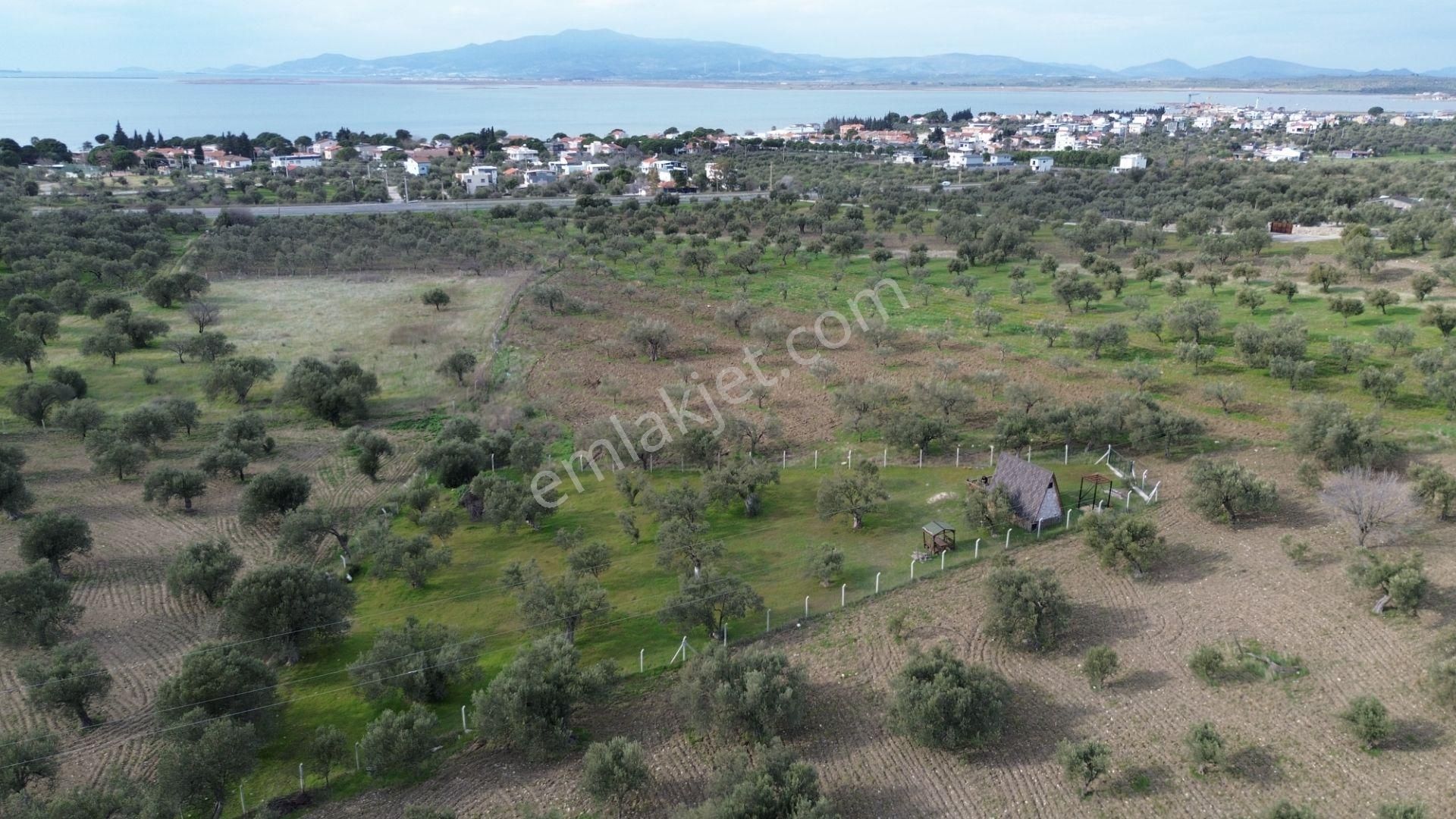 Aşağışakranda 1878m2 Tek Tapu Tel İle Çevrili Bungalov Olan - Görsel 12