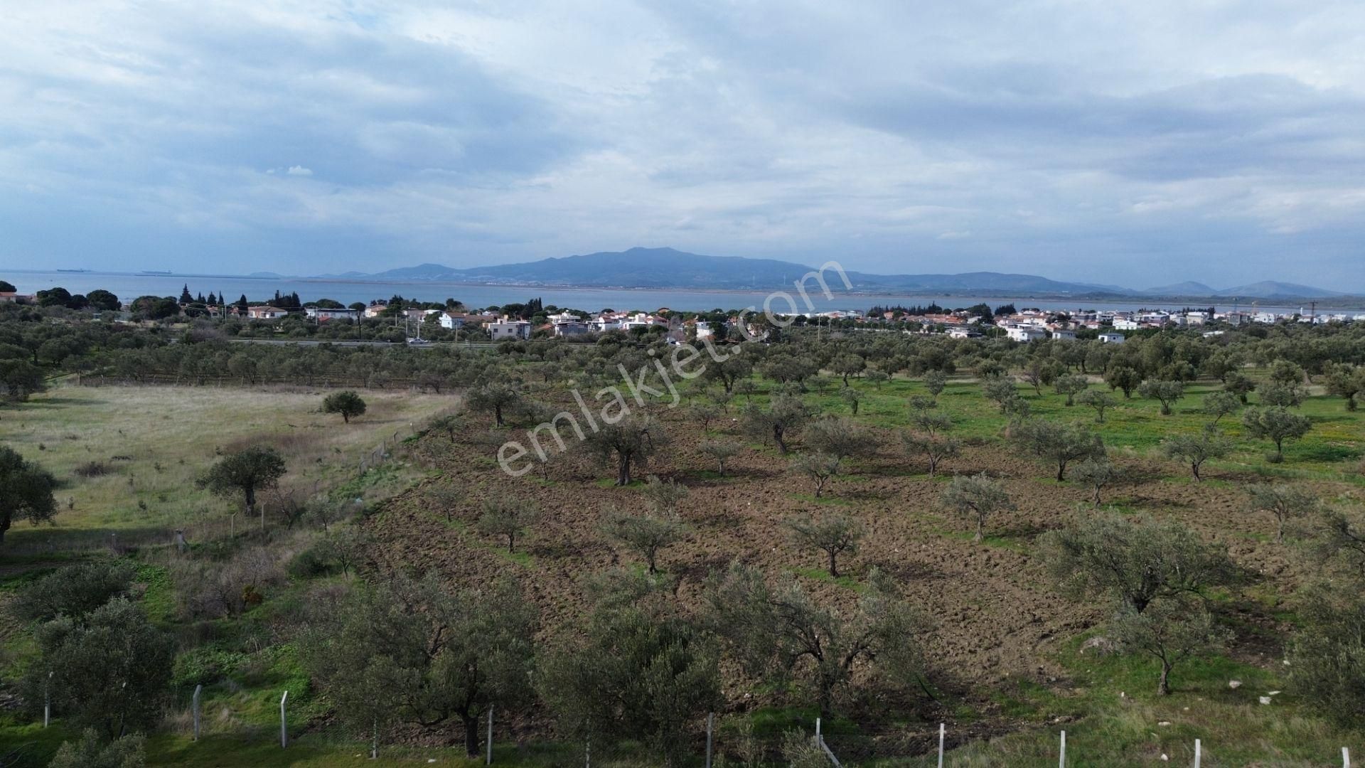 Aşağışakranda 1878m2 Tek Tapu Tel İle Çevrili Bungalov Olan - Görsel 21