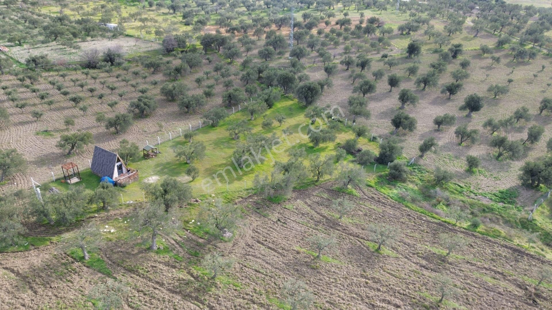 Aşağışakranda 1878m2 Tek Tapu Tel İle Çevrili Bungalov Olan - Görsel 16