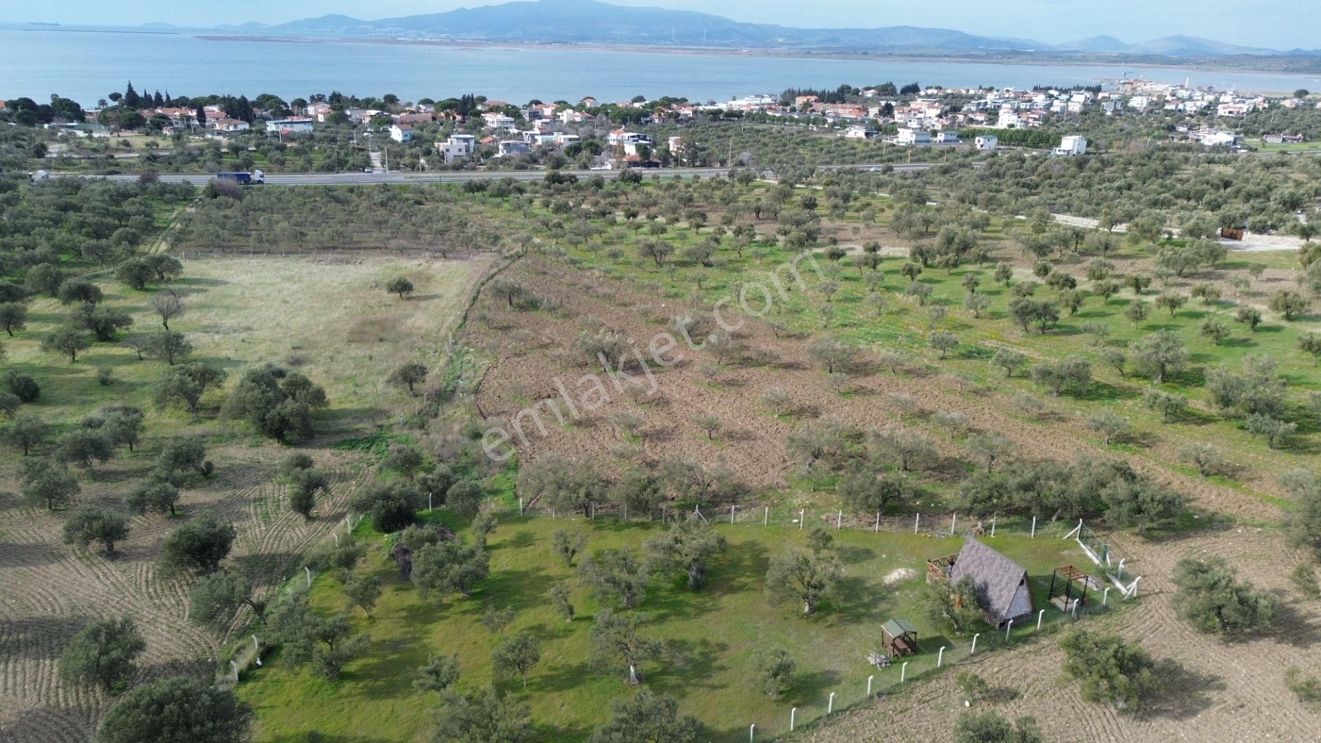 Aşağışakranda 1878m2 Tek Tapu Tel İle Çevrili Bungalov Olan - Görsel 19