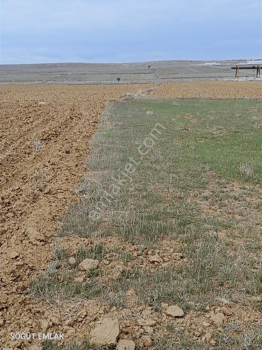 Söğüt Emlak'tan Fabrika Arkasında Satılık Tarla - Görsel 12