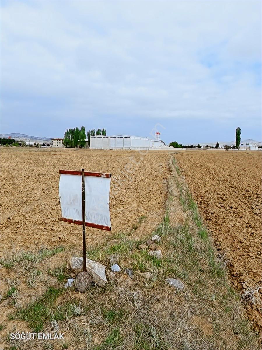 Söğüt Emlak'tan Fabrika Arkasında Satılık Tarla - Görsel 13